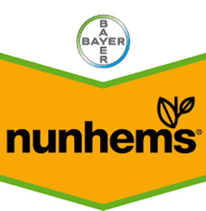 Immagine per il produttore Nunhems