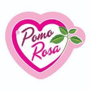 Immagine di Pomodoro Cuore di Bue tipo Albenga rosa ROSAMUNDA