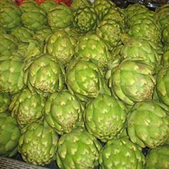 Carciofo romanesco EMERALD