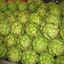 Carciofo romanesco EMERALD