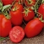 Pomodoro determinato Super Roma