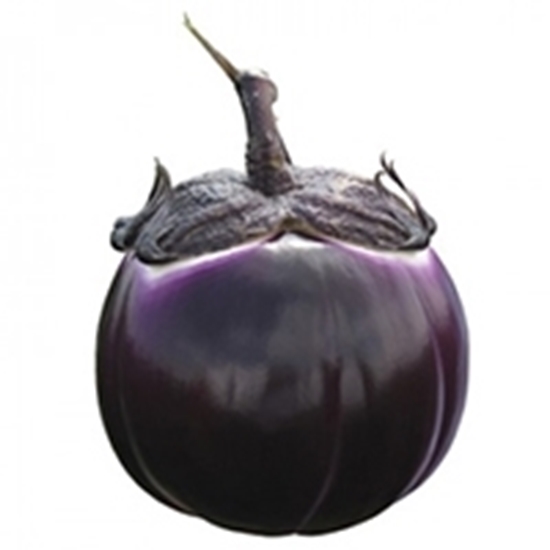 Melanzana Tonda Viola Chiara tipo Firenze SABELLE