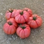 Immagine di Pomodoro Cuore di bue ROSALINDA