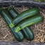 Immagine di Zucchino scuro DESERT