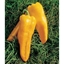 Peperone Lungo tipo Corno Giallo CLEOR