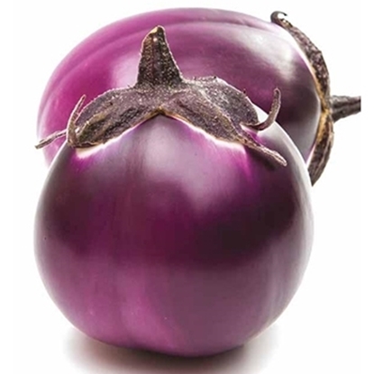 Melanzana tonda viola PURPURA