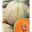 Melone retato DELIZIA