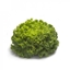 Immagine di Lattuga gentilina verde IMPULSION RZ