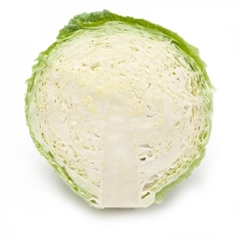 Immagine di Cavolo verza MORAMA RZ