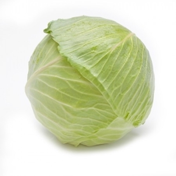 Immagine di Cavolo verza MORAMA RZ