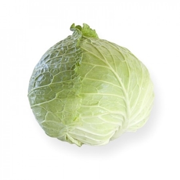 Immagine di Cavolo verza ESTREMA RZ