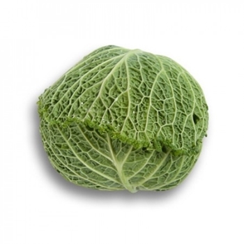 Immagine di Cavolo verza MADLENE RZ