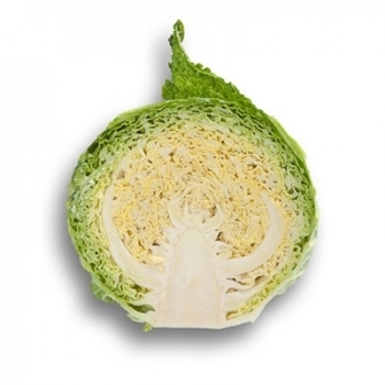 Immagine di Cavolo verza MADLENE RZ