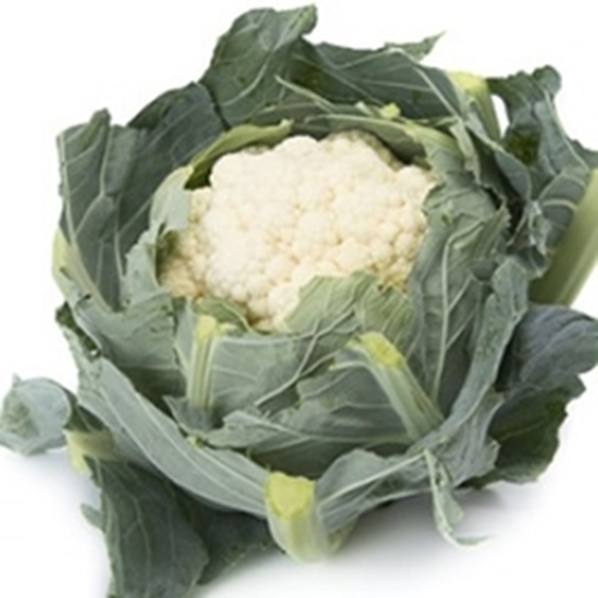 Cavolfiore VENOSA RZ
