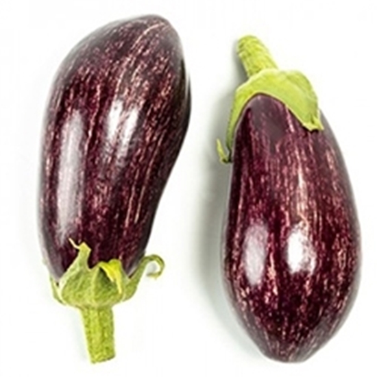 Melanzana Innestata Striata LEIRE