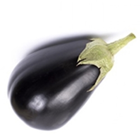 Melanzana Ovale Nera FANTASTIC