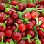 Peperoncino Piccante Rotondo TOPIK