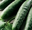 Immagine di Cetriolo partenocarpico spinoso APOLLO