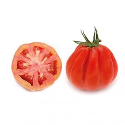 Immagine di Pomodoro Cuore di bue ARALDINO RZ