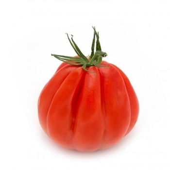Immagine di Pomodoro Cuore di bue ARALDINO RZ