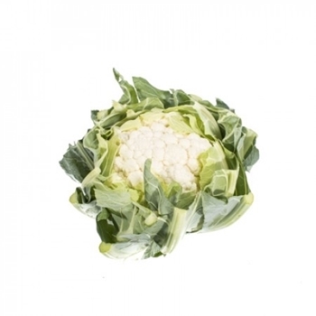 Immagine di Cavolfiore bianco SOCIUS RZ