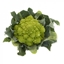 Immagine di Cavolfiore verde romanesco PUNTOVERDE RZ