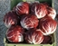 Immagine di Radicchio di CHIOGGIA F1 TT5010