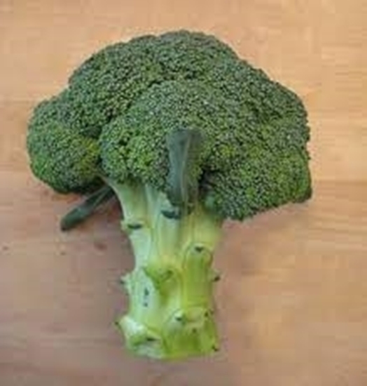 Immagine di Cavolo broccolo TIRRENO