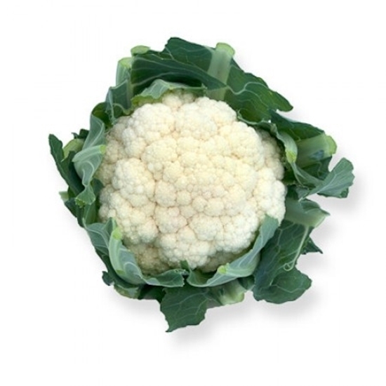 Immagine di Cavolfiore bianco CASTELLUM RZ