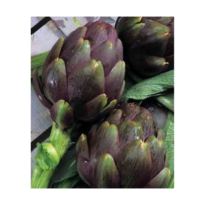 Immagine di CARCIOFO VIOLETTO