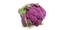 Immagine di Cavolfiore viola VELVET F1