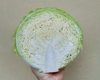 Immagine di Cavolo verza MATHILDE
