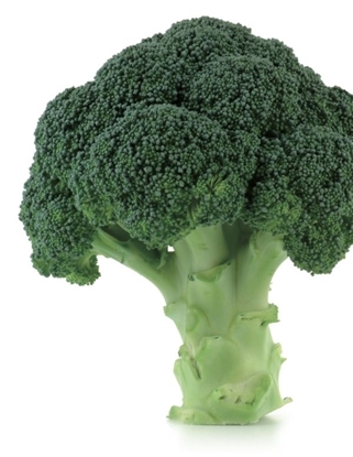 Immagine di Cavolo broccolo NAXOS F1