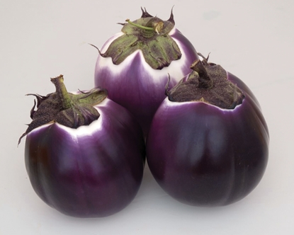 Immagine di Melanzana tonda viola BRILLANT F1
