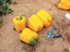 Immagine di Peperone trilobato giallo LUVANOR F1